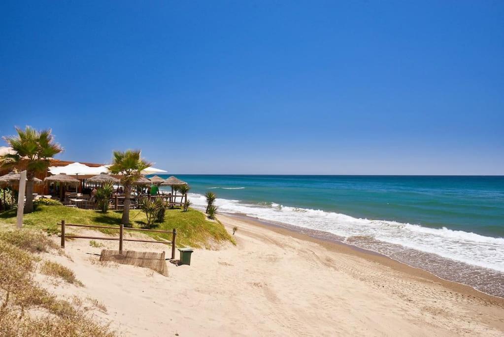 Oleholidays 1106 Romana Playa Primera Linea Playa